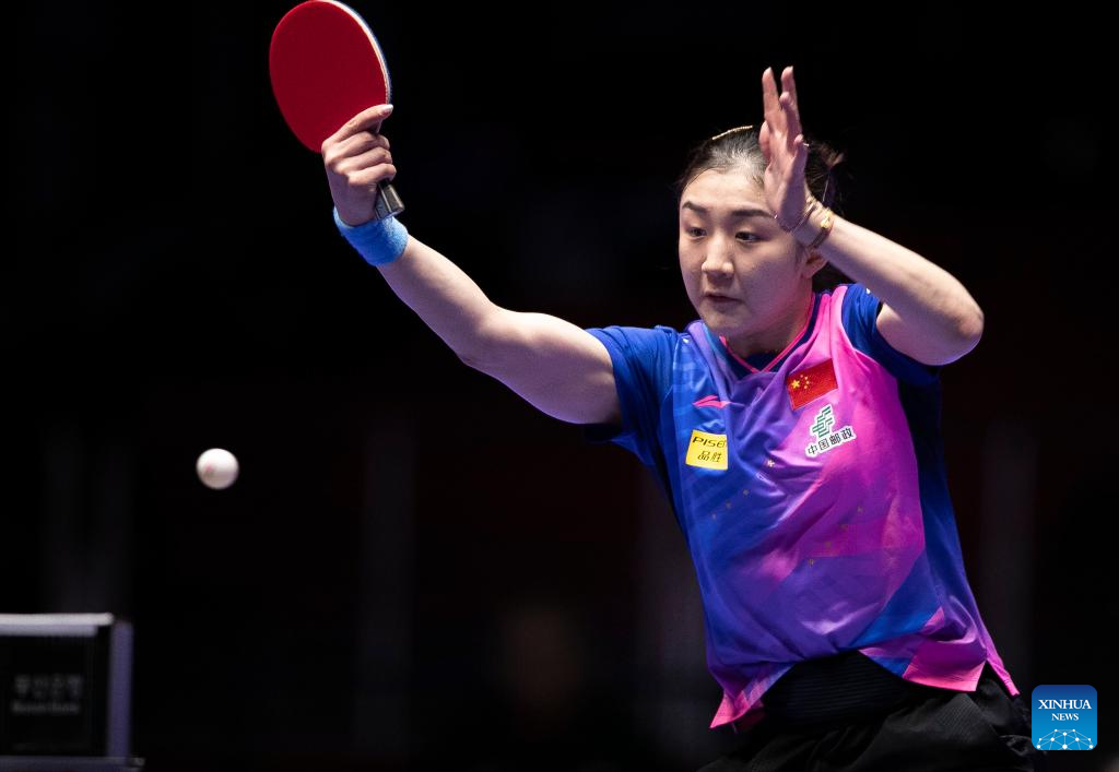 尼克斯决定