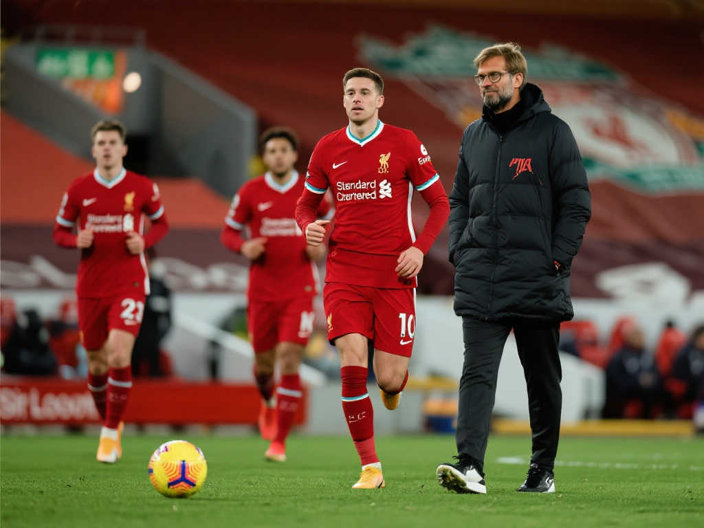 高质量的服 高质量的服