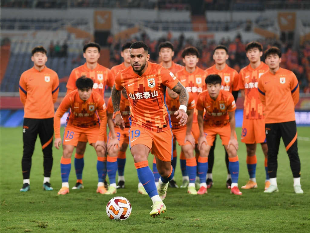 也展示了 也展示了